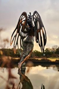 Leda-Cygnet-004.jpg